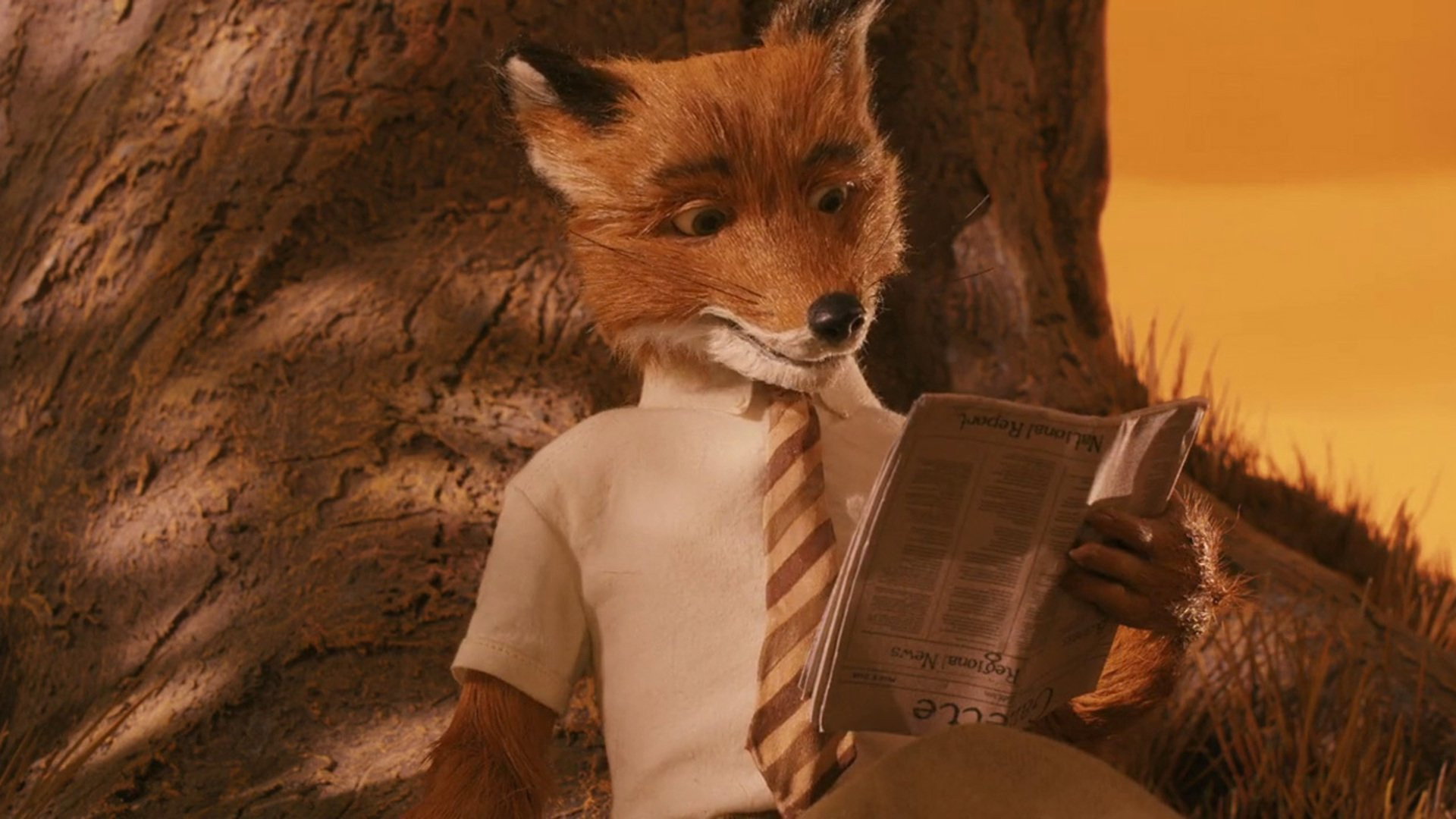 Mr Fox reading at tree