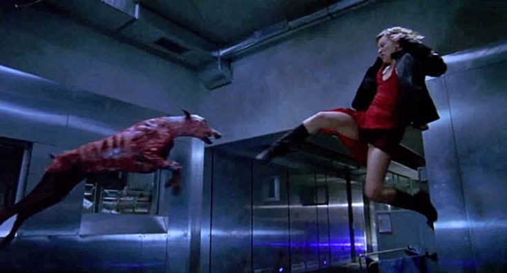 resident evil 2002 dog vs elis fight