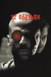 12 monkeys