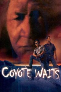 coyote waits