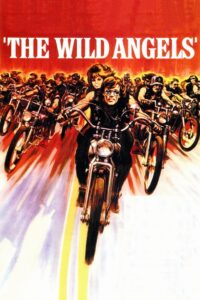 the wild angels