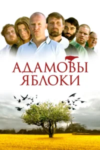 adams aebler