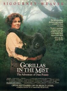 gorillas in the mist