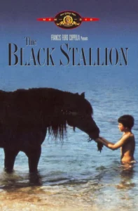 the black stallion
