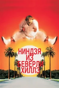 beverly hills ninja