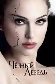cherni lebed